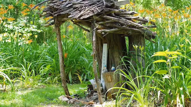 Lily Park - Schoharie, NY