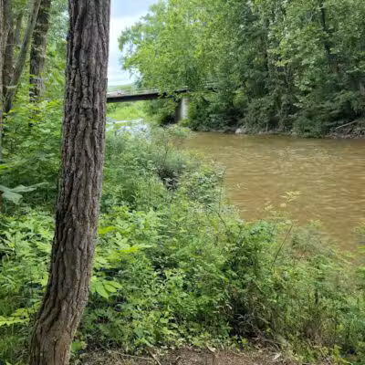 Lily Park - Schoharie, NY