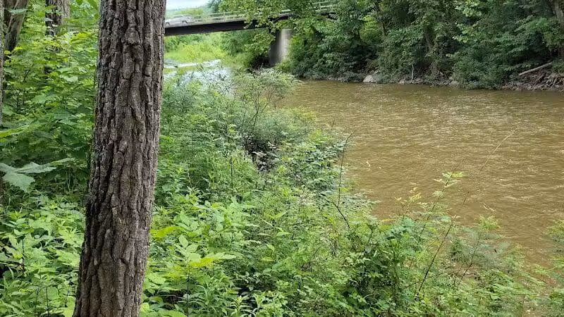 Lily Park - Schoharie, NY