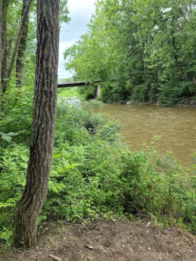 Lily Park - Schoharie, NY