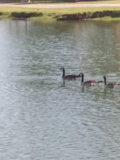 Vista del camino off-leash area - Scottsdale, AZ