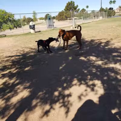 Vista del camino off-leash area - Scottsdale, AZ