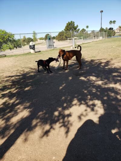 Vista del camino off-leash area - Scottsdale, AZ