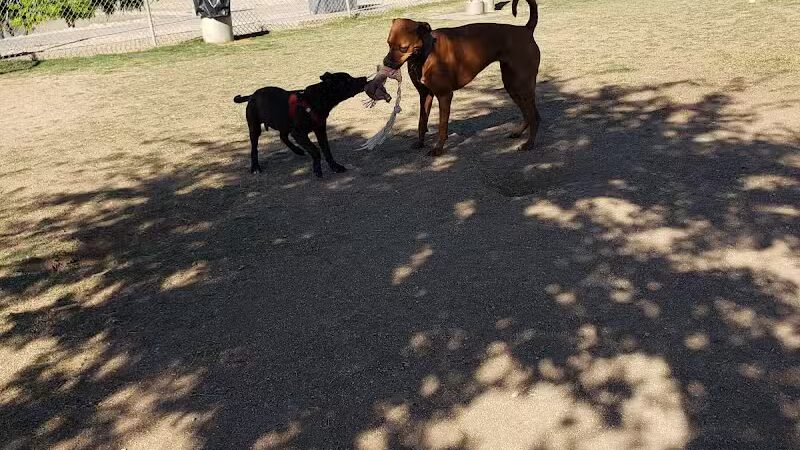 Vista del camino off-leash area - Scottsdale, AZ