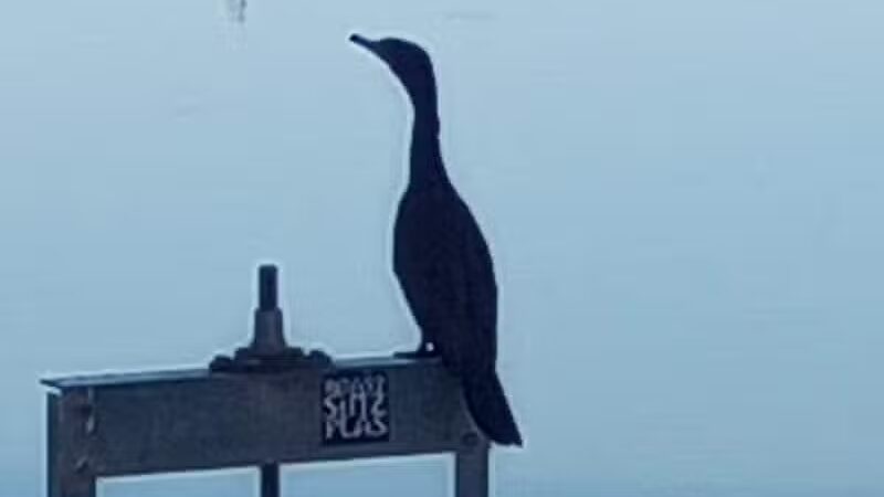 Vista del camino off-leash area - Scottsdale, AZ