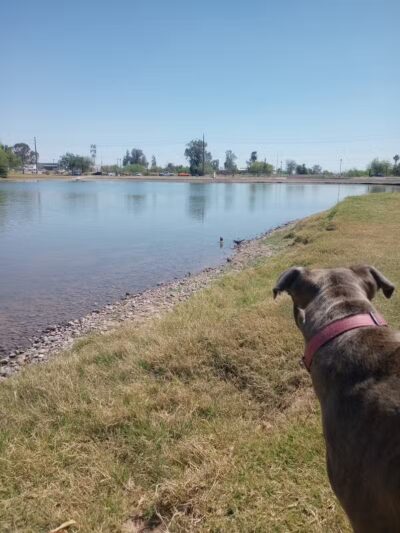 Vista del camino off-leash area - Scottsdale, AZ
