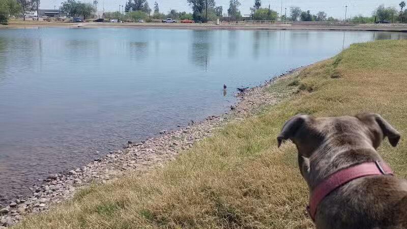Vista del camino off-leash area - Scottsdale, AZ