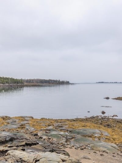 Seal Cove Picnic Area - Seal Cove, ME