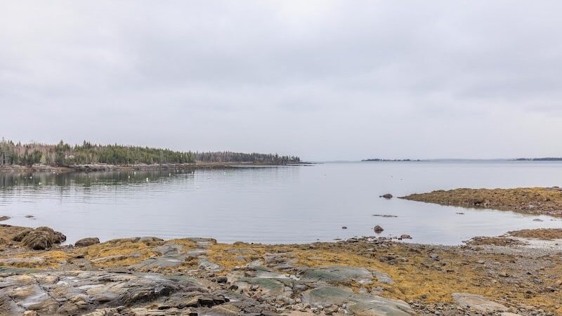 Seal Cove Picnic Area - Seal Cove, ME