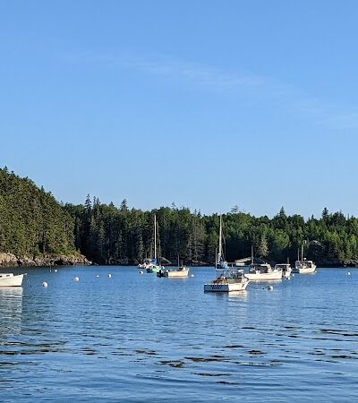 Seal Cove Picnic Area - Seal Cove, ME