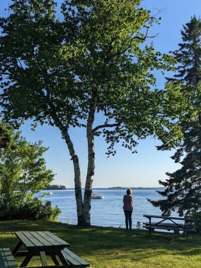 Seal Cove Picnic Area - Seal Cove, ME