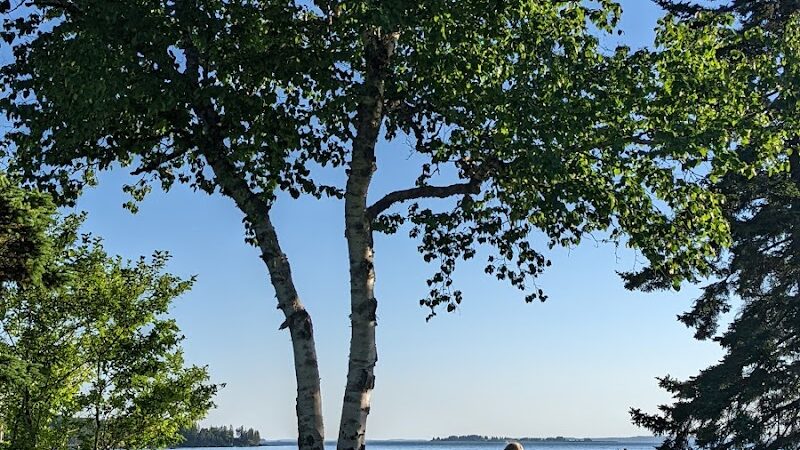 Seal Cove Picnic Area - Seal Cove, ME