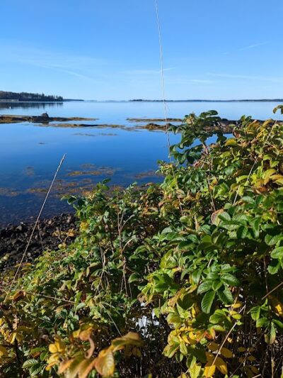 Seal Cove Picnic Area - Seal Cove, ME