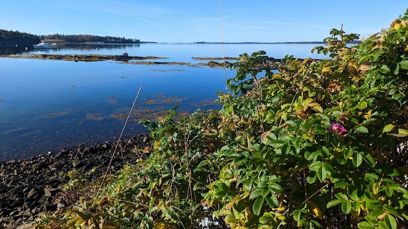 Seal Cove Picnic Area - Seal Cove, ME