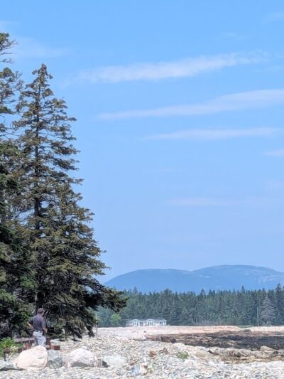 Seal Cove Picnic Area - Seal Cove, ME