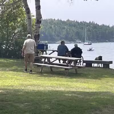 Seal Cove Picnic Area - Seal Cove, ME