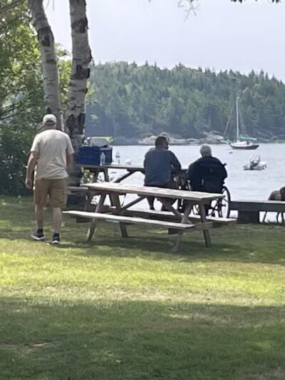 Seal Cove Picnic Area - Seal Cove, ME