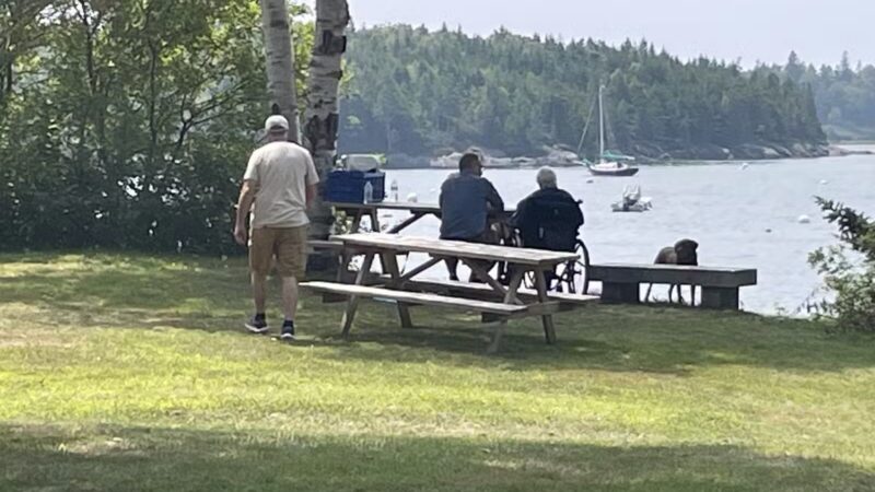 Seal Cove Picnic Area - Seal Cove, ME