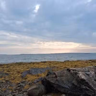 Seal Cove Picnic Area - Seal Cove, ME