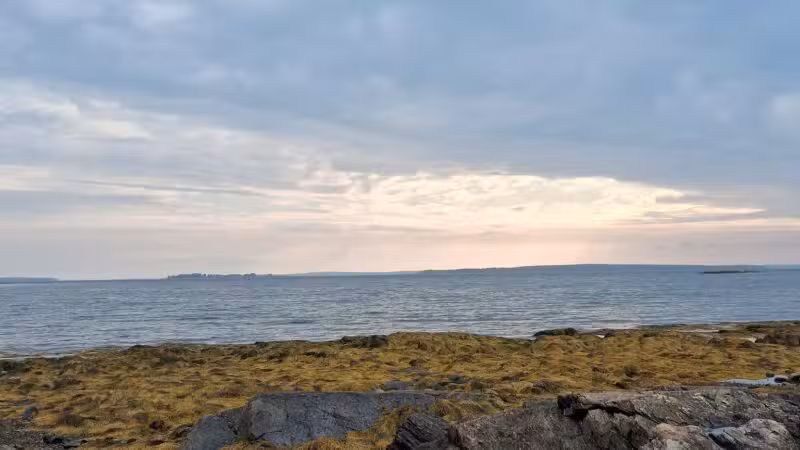 Seal Cove Picnic Area - Seal Cove, ME
