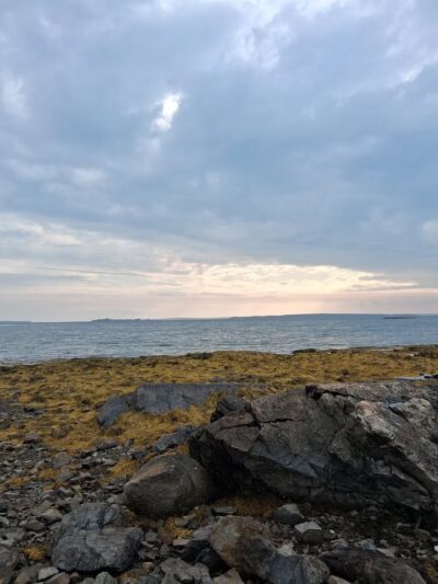 Seal Cove Picnic Area - Seal Cove, ME