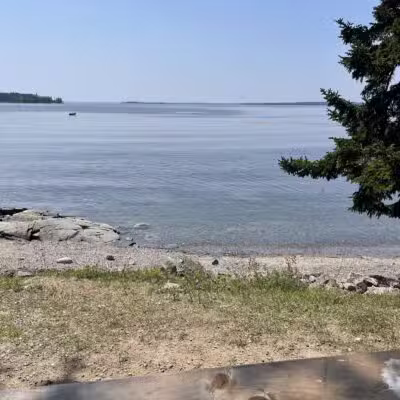 Seal Cove Picnic Area - Seal Cove, ME