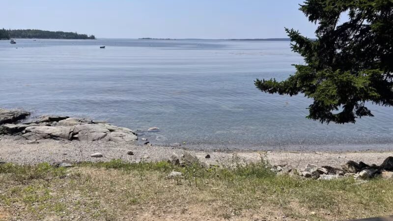 Seal Cove Picnic Area - Seal Cove, ME