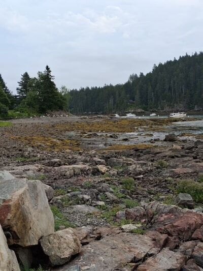 Seal Cove Picnic Area - Seal Cove, ME