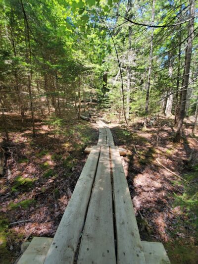 Little Long Pond - Seal Harbor, ME