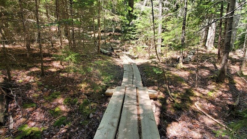 Little Long Pond - Seal Harbor, ME
