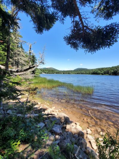 Little Long Pond - Seal Harbor, ME