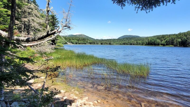 Little Long Pond - Seal Harbor, ME