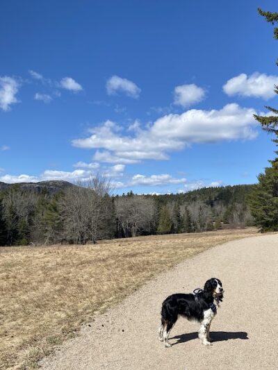 Little Long Pond - Seal Harbor, ME