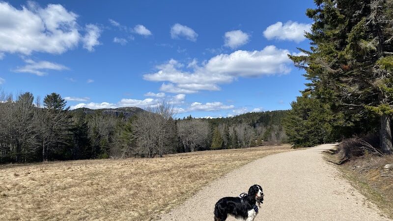 Little Long Pond - Seal Harbor, ME