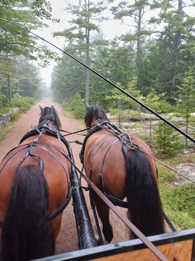 Little Long Pond - Seal Harbor, ME