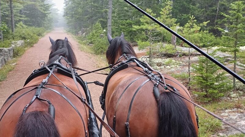 Little Long Pond - Seal Harbor, ME