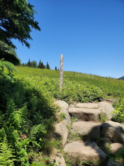 Little Long Pond - Seal Harbor, ME