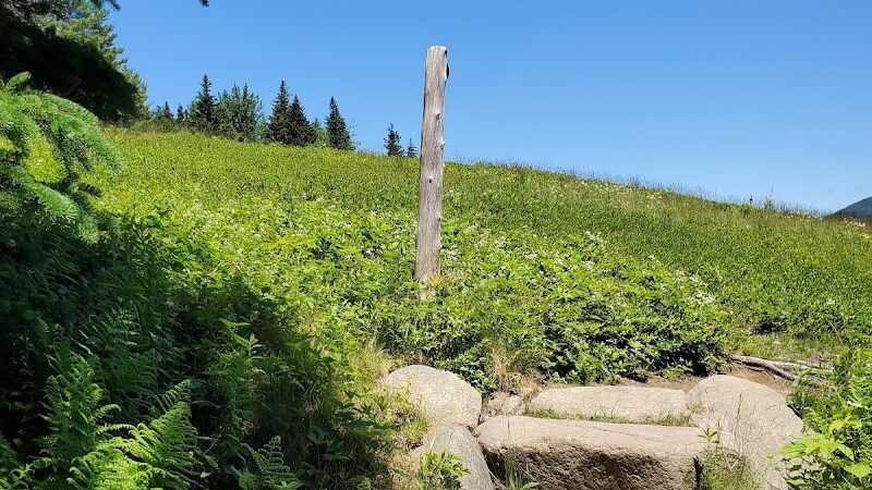 Little Long Pond - Seal Harbor, ME