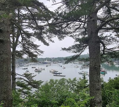 Little Long Pond - Seal Harbor, ME
