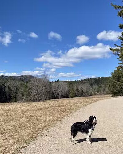 Little Long Pond - Seal Harbor, ME