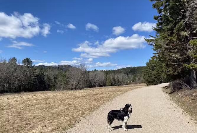 Little Long Pond - Seal Harbor, ME