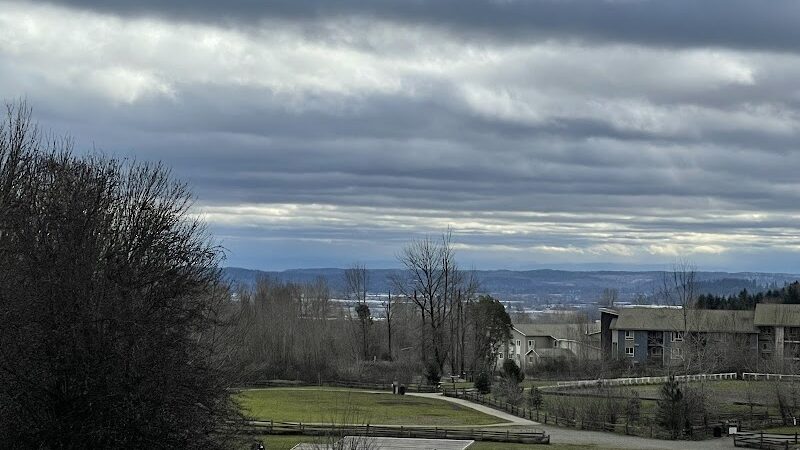 Grandview Off-Leash Dog Park - SeaTac, WA