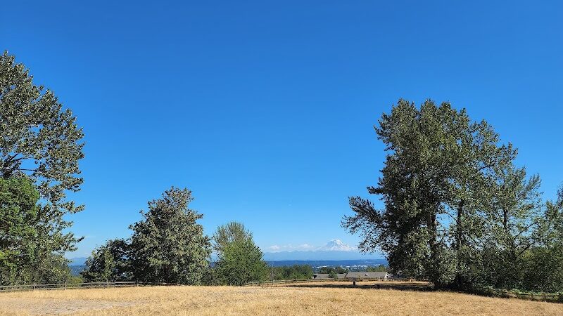 Grandview Off-Leash Dog Park - SeaTac, WA