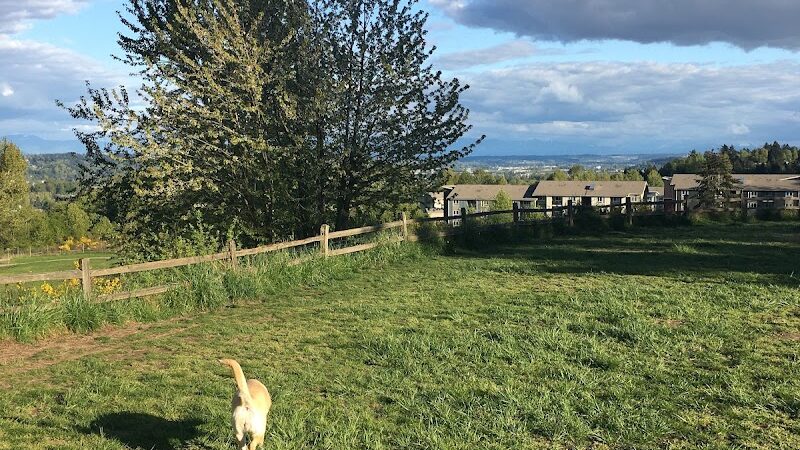 Grandview Off-Leash Dog Park - SeaTac, WA