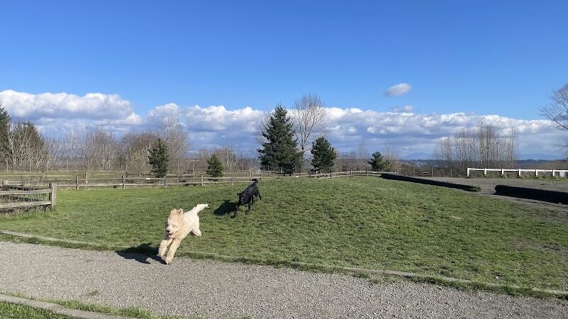 Grandview Off-Leash Dog Park - SeaTac, WA