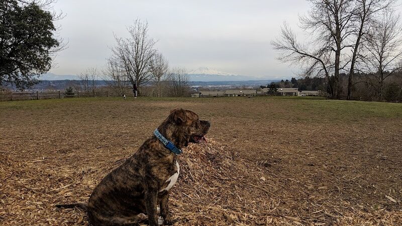 Grandview Off-Leash Dog Park - SeaTac, WA