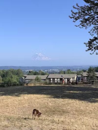 Grandview Off-Leash Dog Park - SeaTac, WA