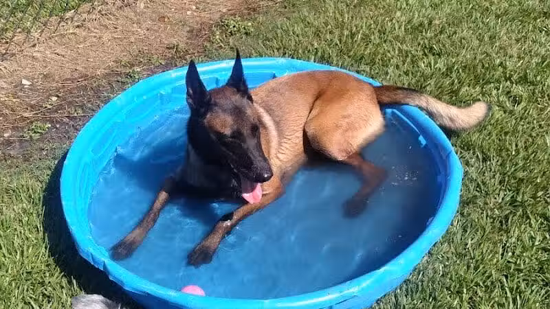 Spring Lake Dog Park - Sebring, FL