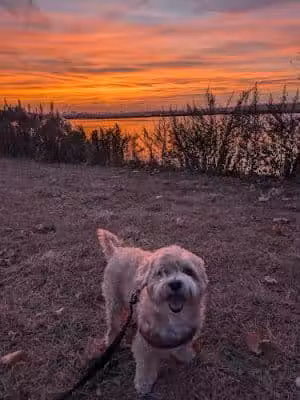 Laurel Hill Park - Secaucus, NJ