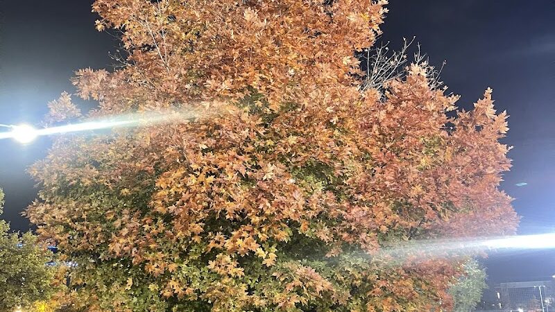 Laurel Hill Park - Secaucus, NJ